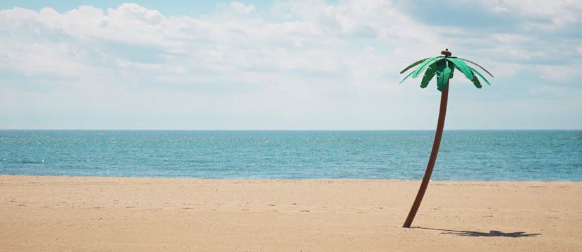 Imagen ornamental: palmera de plástico que parece de verdad sobre la arena de una playa