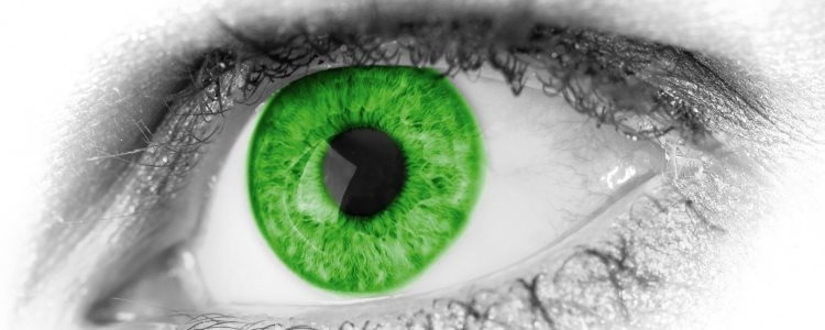 FRIKADAS: ¿Cuál es la resolución de un ojo humano en megapíxeles?