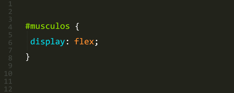 CSS Músculos display: flex
