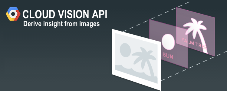 Google presenta su API de reconocimiento de imágenes con inteligencia artificial