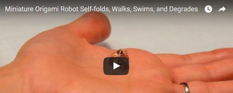 FRIKADAS: El nanorobot desplegable que irá dentro de tu cuerpo